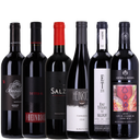 93+ Set: Burgenlands Rotweincuveé Klassiker von Neun Weine Set 