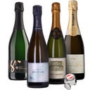 Neun Weine Set Prickelndes Sekt Set aus Österreich + gratis Verschluss