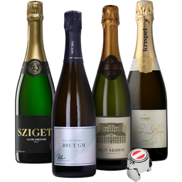 Neun Weine Set Prickelndes Sekt Set aus Österreich + gratis Verschluss