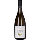 Cantina Girlan Platt & Riegel Pinot Bianco 2024
