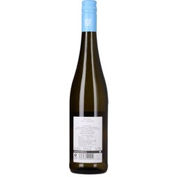 Weingut Herbert Meßmer Riesling 2024 VDP Gutswein Bio