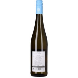 Herbert Meßmer Riesling 2024 VDP Gutswein Bio