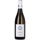 Chardonnay 2023 