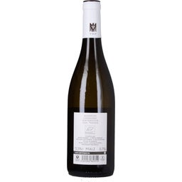 Chardonnay 2023 