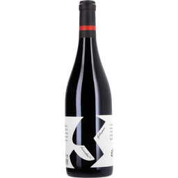 Weingut Walter Glatzer Gotinsprun DAC 2023 Bio