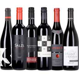 6er Box: Rotwein Vielfalt Österreich