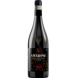 Amarone Della Valpolicella Classico D.O.C.G 2020 Special Christmas Edition