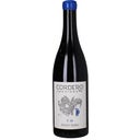 V 18 Pinot Nero dell'Oltrepo Pavese DOC 2023