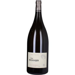 Ried Gaisberg Grüner Veltliner 1. ÖTW 2024 Magnum