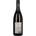 Weingut Polz Welschriesling Südsteiermark DAC 2025