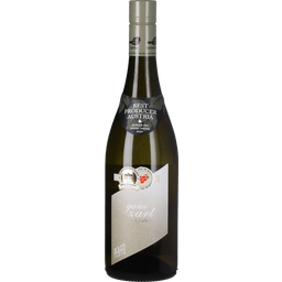 Weingut Pfaffl GANZ ZART 9,5% 2025