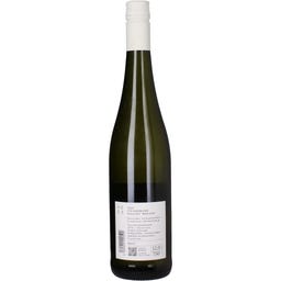 Weingut Hees Riesling Steingewann 2024 Gutswein