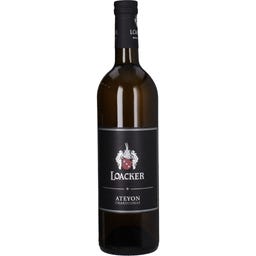 Loacker Schwarhof Chardonnay Ateyon IGT 2023 Bio