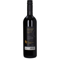 Rotweine Lang Zweigelt classic 2024