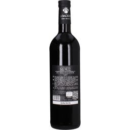 Sankt Magdalener Classico Morit IGT 2023 Bio