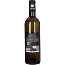 Loacker Schwarhof Sauvignon Blanc Tasnim IGT 2024 Bio