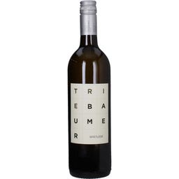 Weingut Günter u. Regina Triebaumer Spätlese Sauvignon Blanc Rust 2025