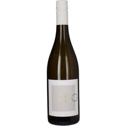 Weingut Hees Weissburgunder Steingewann 2024 Gutswein