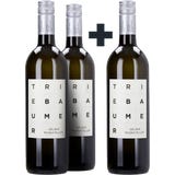 Weingut G&uuml;nter u. Regina Triebaumer 2+1 GRATIS Gelber Muskateller Rust 2024