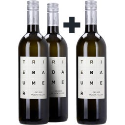 Weingut Günter u. Regina Triebaumer 2+1 GRATIS Gelber Muskateller Rust 2024