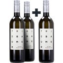 Weingut Günter u. Regina Triebaumer 2+1 GRATIS Gelber Muskateller Rust 2024