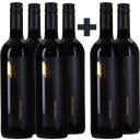 Rotweine Lang 4+2 GRATIS Zweigelt classic 2024