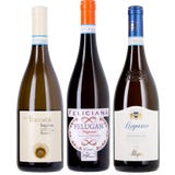 9wines set Box da 3 - Lugana da Degustazione