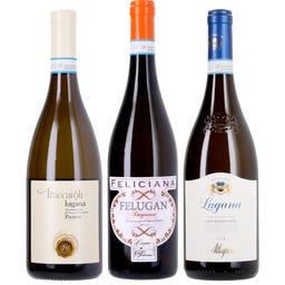  3er Box: Lugana Probierpaket