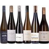 6er Box: 93+ Punkte Gr&uuml;ner Veltliner Premium