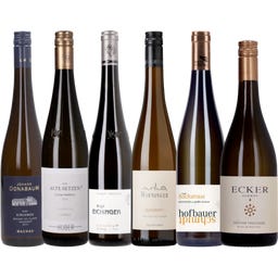 6er Box: 93+ Punkte Grüner Veltliner Premium