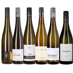  6er Box: Grüner Veltliner Geheimfavoriten