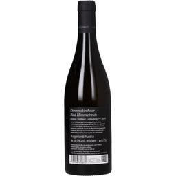 Himmelreich Grüner Veltliner Leithaberg DAC 2024 Bio