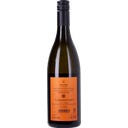 Gut Böheim Veltliner & Friends 2025