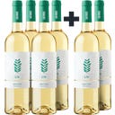 Quinta de Santa Teresa 4+2 GRATIS LIV Vinho Verde DOC 2024 Bio