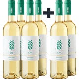 Quinta de Santa Teresa 4+2 GRATIS LIV Vinho Verde DOC 2024 Bio