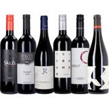 Neun Weine Box 6er Box: Best of Zweigelt