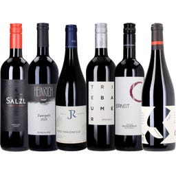 6er Box: Best of Zweigelt