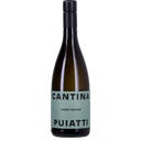 PUIATTI Pinot Grigio Friuli DOC 2025