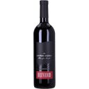 Weingut Silvia Heinrich Ried Goldberg Reserve Blaufränkisch 2021