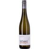 Grüner Sylvaner Ried End des Berges 2025