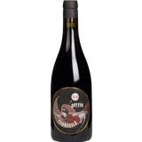 Gerhard Pittnauer Pannobile rot 2023 Bio
