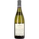 Langenlois Grüner Veltliner Kamptal DAC 2025