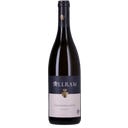 Weingut Allram Grauburgunder Reserve 2024 Bio