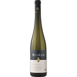 Weingut Allram Grüner Veltliner Ried Renner 2023 Bio
