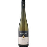 Weingut Allram Riesling Strass Kamptal DAC 2025