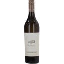 Weinhof Josef Scharl Sauvignon Blanc VStmk. DAC 2025