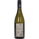 Weingut Polz Sauvignon Blanc SüdStmk. DAC 2025