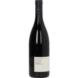 Weingut Georg Preisinger Pinot Noir Ried Goldberg 2023 Bio