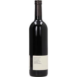 Weingut Georg Preisinger GOLS Rotweincuvee 2023 Bio