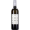 Weingut Günter u. Regina Triebaumer Furmint Rust 2025